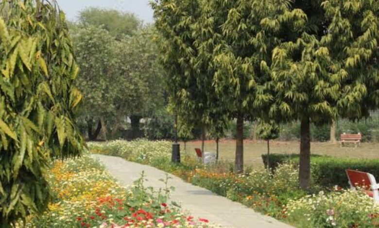 दिल्ली-के-जापानी-पार्क-में-पेड़-से-लटकी-मिली-नाबालिग-की-लाश,-रहस्य-बना-मौत-का-कारण