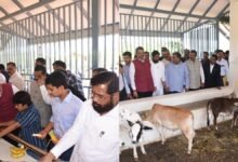 Photo of Maharashtra: नारायण राणे का नया ‘मिशन’, 70 एकड़ में ‘गोवर्धन गौशाला’ का उद्घाटन, जानें क्या है खास