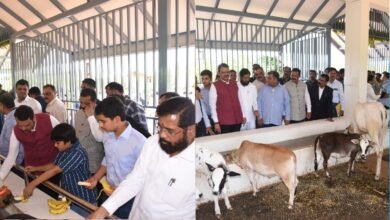 Photo of Maharashtra: नारायण राणे का नया ‘मिशन’, 70 एकड़ में ‘गोवर्धन गौशाला’ का उद्घाटन, जानें क्या है खास