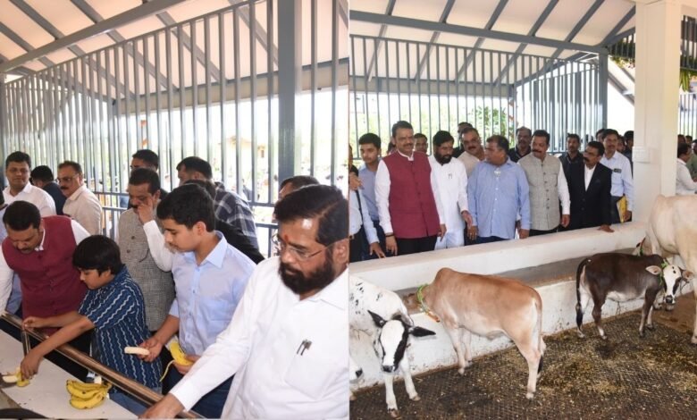 maharashtra:-नारायण-राणे-का-नया-‘मिशन’,-70-एकड़-में-‘गोवर्धन-गौशाला’-का-उद्घाटन,-जानें-क्या-है-खास